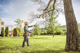 Professional  Tree Services in South Salt Lake, UT